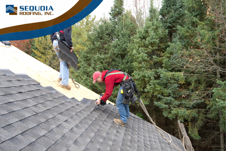Expert roofing contractors in San Diego installing high-quality asphalt shingle roofing.