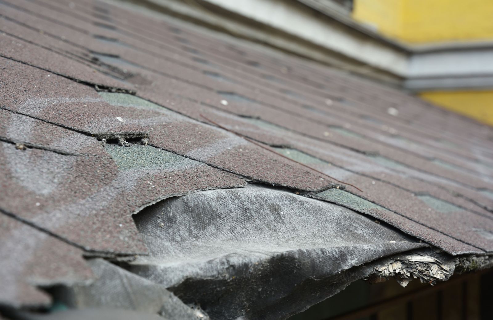 Sequoia Roofing Images