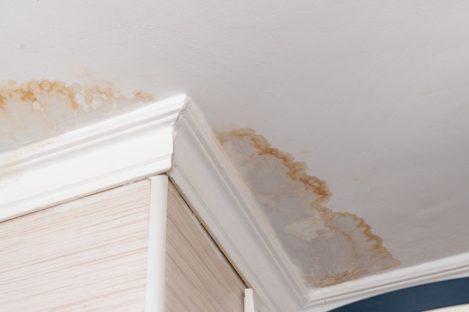 Sequoia Roofing Images