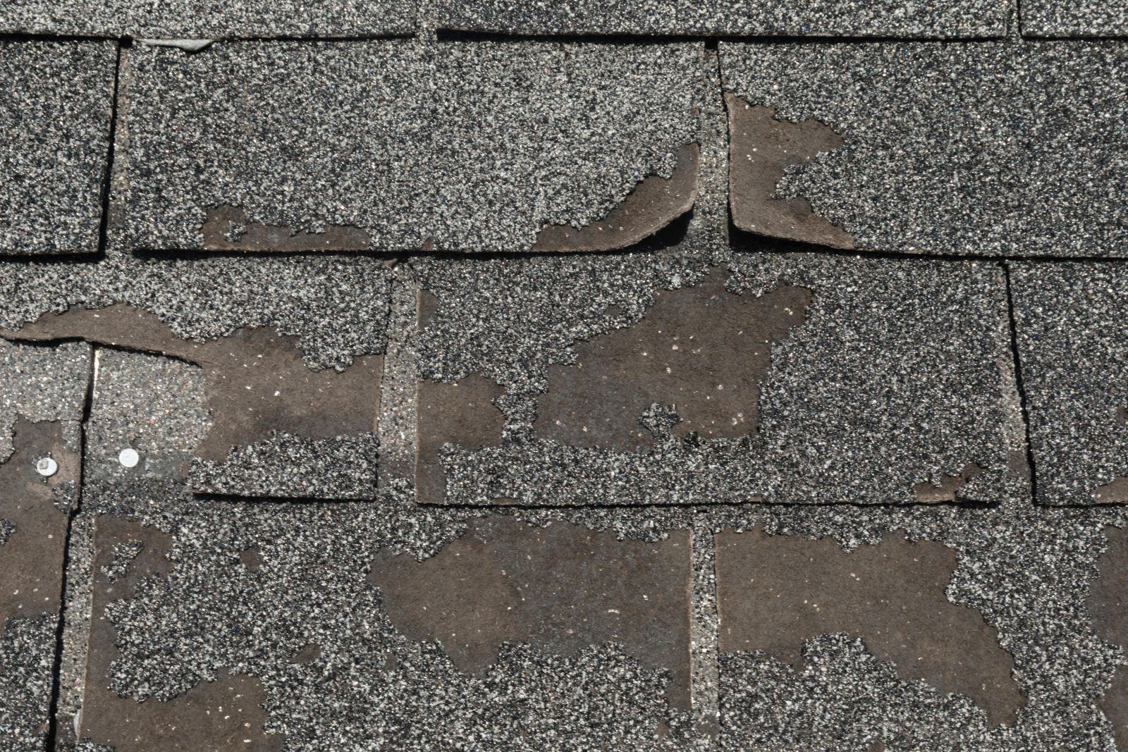 Sequoia Roofing Images